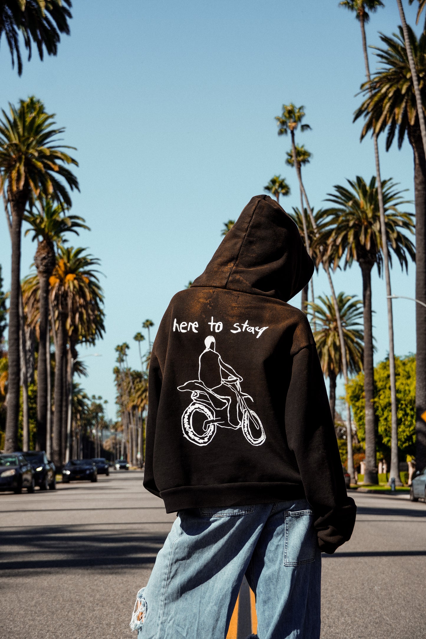 Dreamland I Hoodie(Vintage Black)