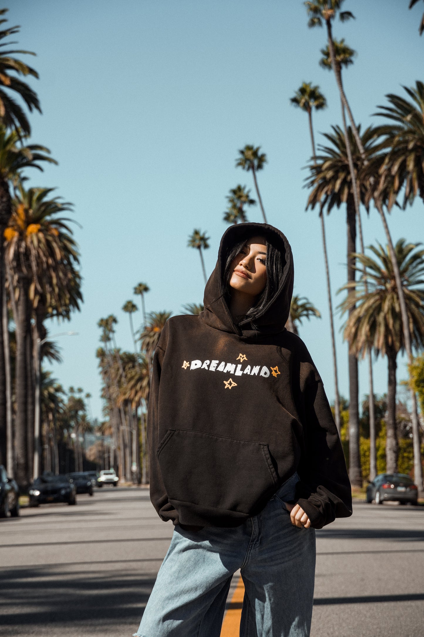 Dreamland I Hoodie(Vintage Black)