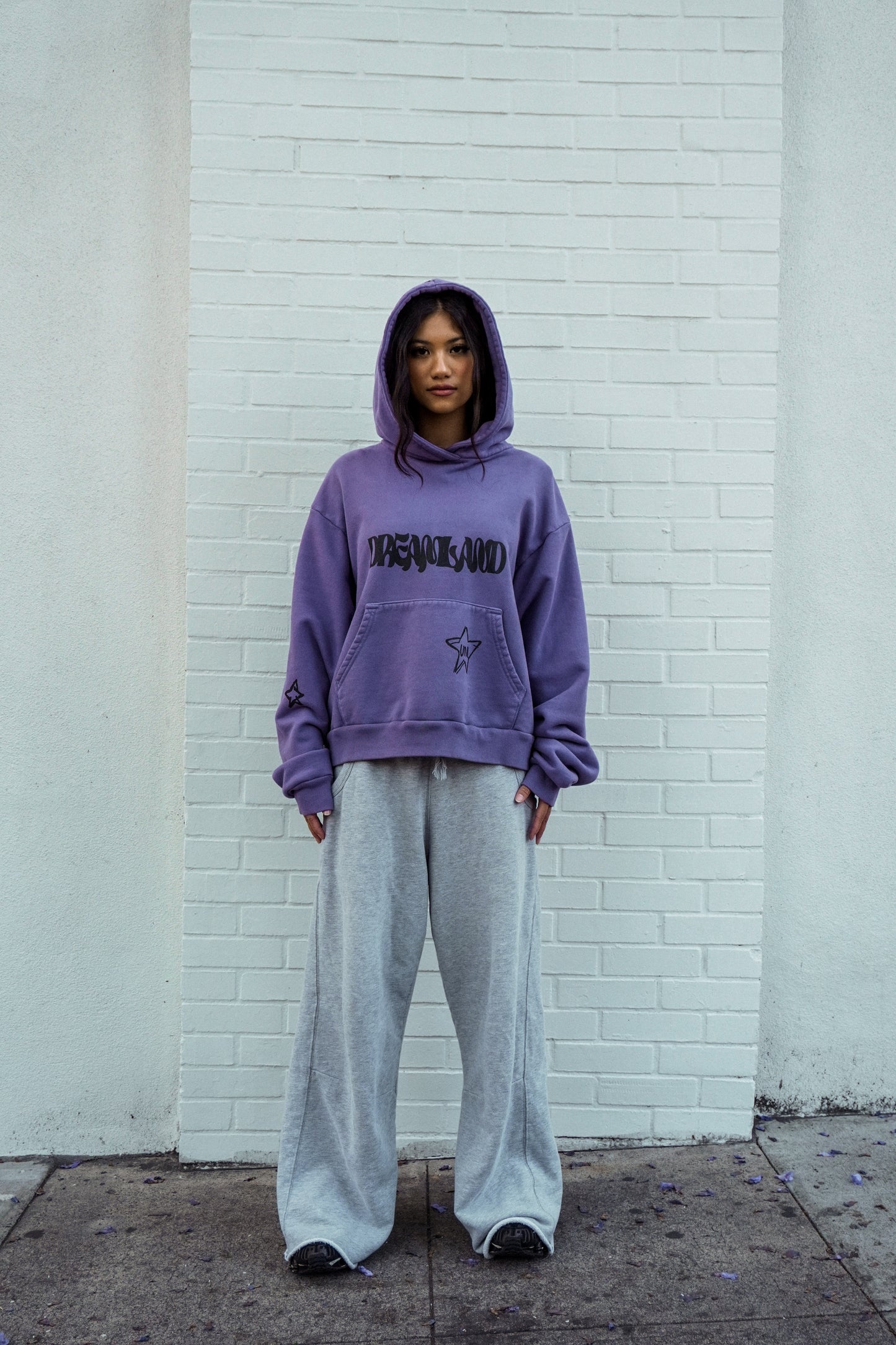 Dreamland Is Hoodie(Lavender)