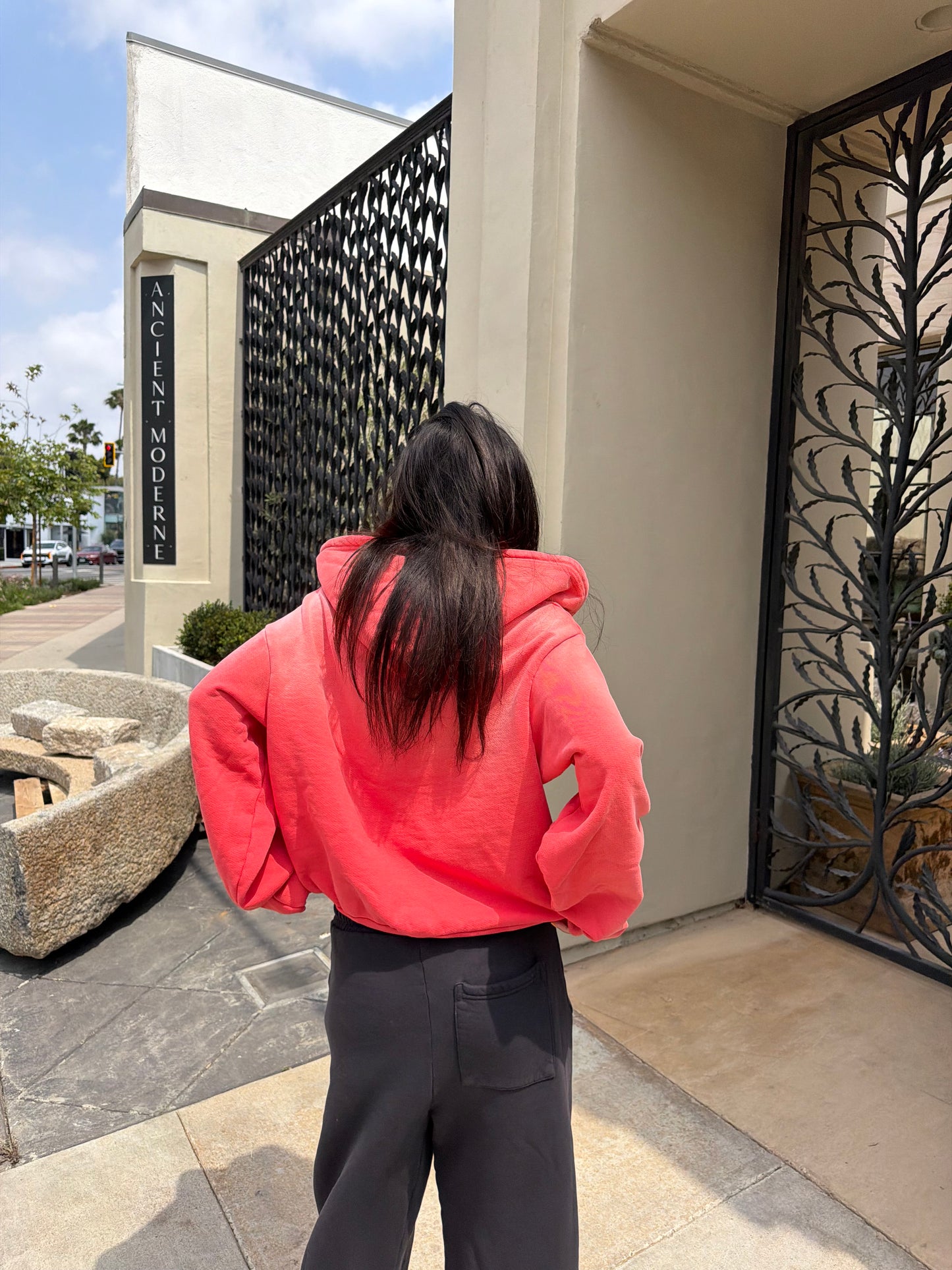Not So Basic Zip Up Hoodie(Sun-faded Red)